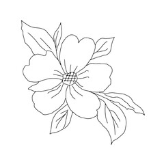 Black Vector illustration of a wild rose flower with leaves isolated on a white background
