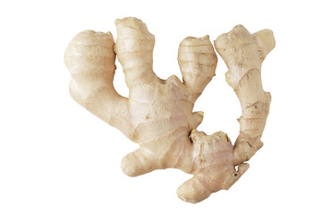 Composition of fresh ginger root, lemon and ginger pieces isolated on white background.