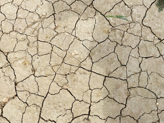 cracks. dry land