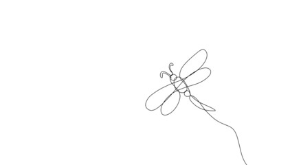 minimalist one line drawing dragonfly illustration in line art style
