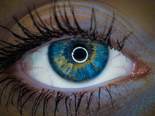 Human eye, iris