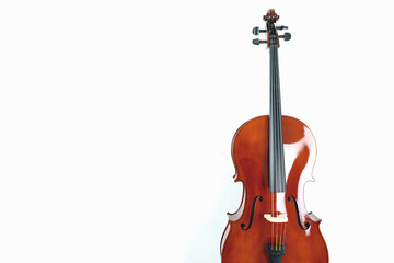 Fototapeta na wymiar Mahogany cello on a white background. 