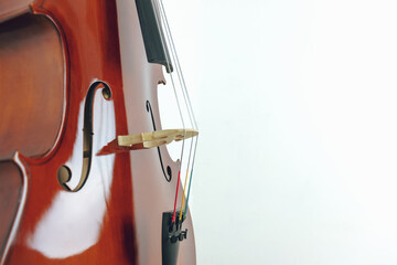 Mahogany cello on a white background. - obrazy, fototapety, plakaty