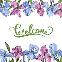 Vector Pink and blue iris floral botanical flower. Engraved ink art. Frame border ornament square.