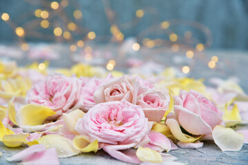  Beautiful background of pink roses, petals. Place for text.