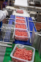 Forming from minced meat for packing. Line for the production of semi-finished meat products.Meat...