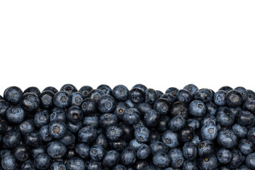 Blueberry. Ripe blueberry on white isolated background.