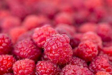 Raspberry. Ripe sweet raspberry background. Close up image.