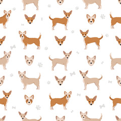 Portuguese Podengo Pequeno seamless pattern. Different poses, coat colors set