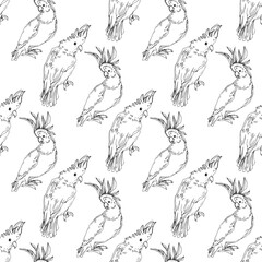 Vector Sky bird cockatoo in a wildlife. Black and white engraved ink art. Seamless background pattern.