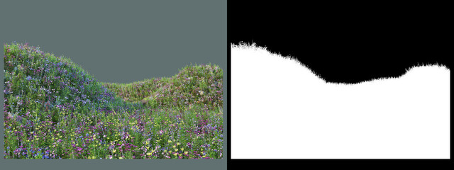 various types of flowers on the hill

