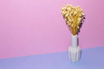Vase of beige baby's breath flowers on blue table. purple wall background. home interior