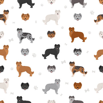 Pyrenean sheepdog, smooth faced seamless pattern. Different poses, coat colors set
