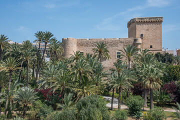 Fototapeta na wymiar Palmeral de Elche y Palacio de Altamira, en la provincia de Alicante, España