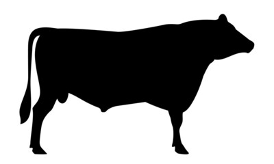 Bull Jersey Silhouette - The Best Milk Cattle Breeds. Farm animals. Vector Illustration