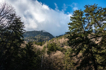 Vue sur la montagnes des Pyrénées en France