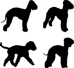 Bedlington Terrier Dog Silhouette Vector Pack