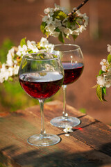 Wine Tasting Party in spring in the garden