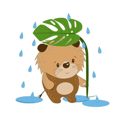 Cute cartoon baby lion with leave and rain
