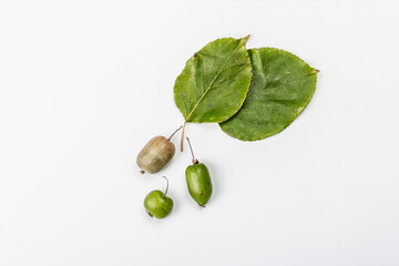 Ripe Actinidia arguta or kiwi isolated on white background