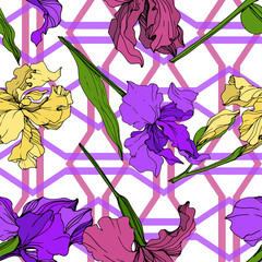 Vector Yellow, purple and maroon Iris floral botanical flower. Engraved ink art. Seamless background pattern.