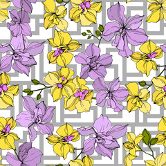 Vector Orchid floral botanical flowers. Black and white engraved ink art. Seamless background pattern.