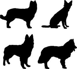 Bohemian Shepherd Dog Silhouette Vector Pack