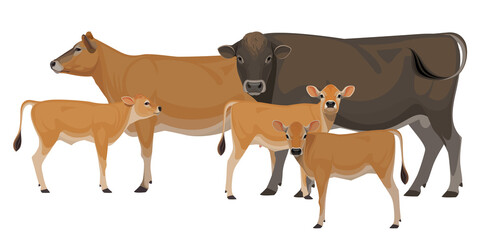 Set of Bull, Cow, Calf. Jersey - The Best Milk Cattle Breeds. Farm animals. Vector Illustration.