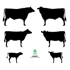 Silhouette  Set of Bull, Cow, Calf. Jersey - The Best Milk Cattle Breeds. Farm animals. Vector Illustration.