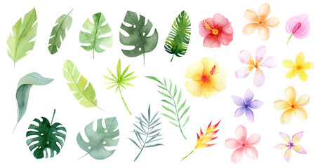 Watercolor Tropical flowers and leaves. Jungle flowers. Safari exotic greenery cute childish baby shower illustration. Floral summer isolated. Monstera banana leaves