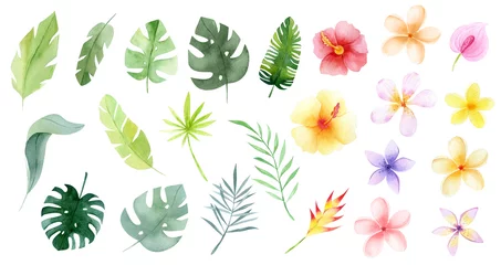 Watercolor Tropical flowers and leaves. Jungle flowers. Safari exotic greenery cute childish baby shower illustration. Floral summer isolated. Monstera banana leaves © NastiaVik