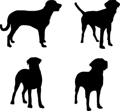 Broholmer Dog Silhouette Vector Pack
