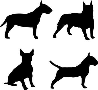 Bull Terrier Dog Silhouette Vector Pack