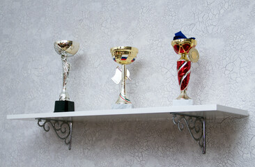 Cups and awards on the shelf. The prize is a trophy for the winner of the exhibition on the shelf.