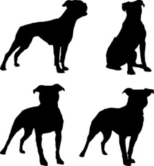 American Bulldog Silhouette Vector Pack