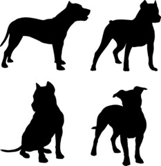 American Pit Bull Dog Silhouette Vector Pack
