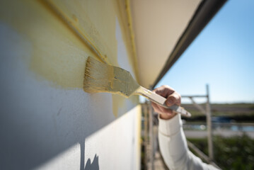 pittore pitturare muro artista parete colore tinteggiare tinta