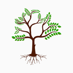 tree with roots , spring , plant , illustration , art , design , silhouette , ecology , summer , icon , environment , eco , season , symbol , garden , life , leaf , root , tree vector , nature , 