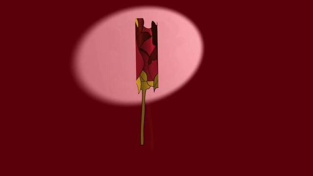 Animation of transformation of rose flower from cylinder into fool blossom.