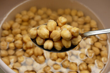 raw chickpeas pre-soaked for cooking, chickpeas soaked in water and swollen, close-up raw chickpea...