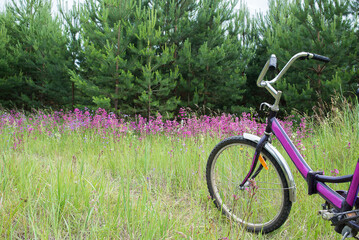 Fototapeta na wymiar bicycle on a green meadow
