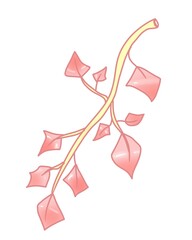 Illustration of a pink branch