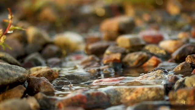 a small spring flows among the stones, screen saver
