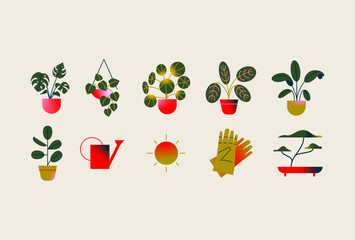 Conjunto de vectores de plantas en maceta y jardinería. Plantas en maceta decorativas y colgantes estilo en cestas. © Alba