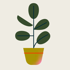 Ficus con hojas. Planta tropical aislada en vector de interior