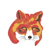 Colorful Fox head illustration.Vector snout or muzzle of angry red fox animal hunter, wild canine profile.Bright color abstract spots, pop art painting.