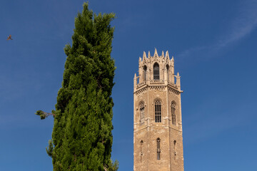 Fototapeta na wymiar tower of the cathedral of lerida with a tree next to it