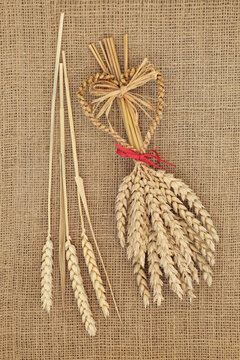 Corn dolly with wheat sheaths. Ancient pagan druid fertility symbol and used in harvest ritual customs in Europe. On hessian background, top view.