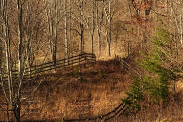 Rural Meadow with Wooden Fence in North Carolina
