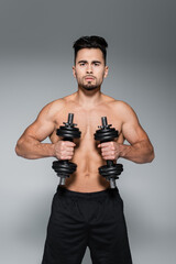 shirtless and muscular sportsman working out with dumbbells on grey.